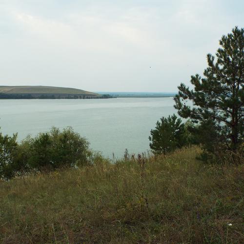 Photo #5523143