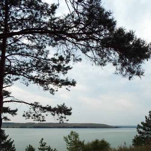 Photo #5523144