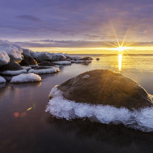 Photo #5523354