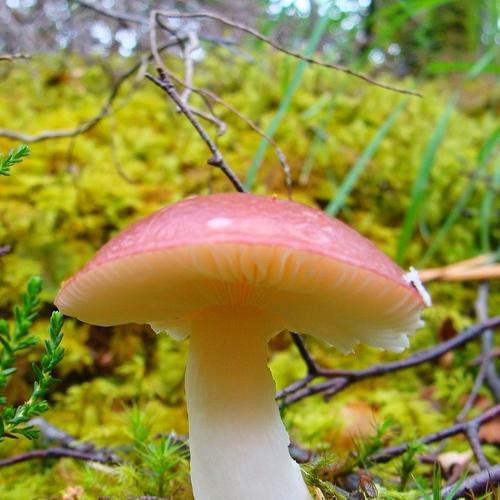 Photo #5523365