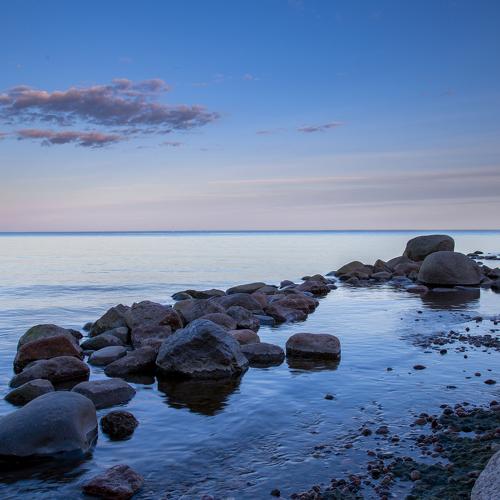 Photo #5523440