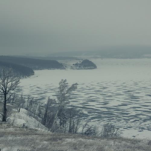 Photo #5523454