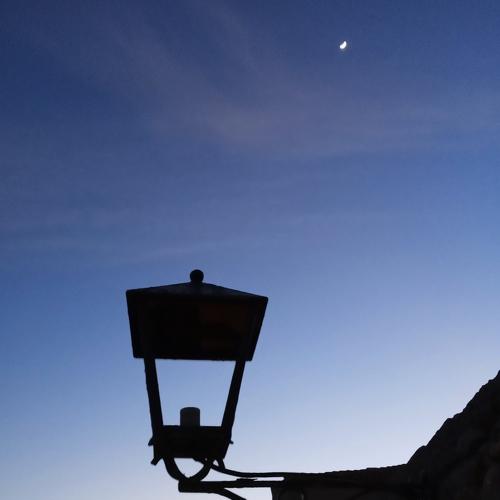 Photo #5523487