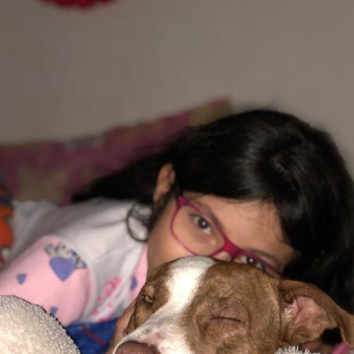 Photo #5523915