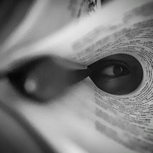 Photo #5524051