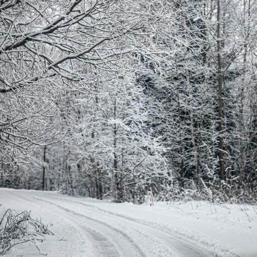 Photo #5524191
