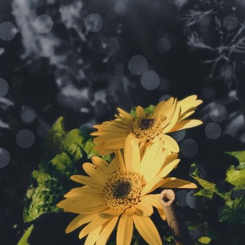 Photo #5524217