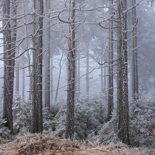 Photo #5525472