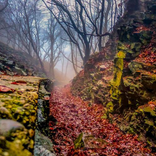 Photo #5526715