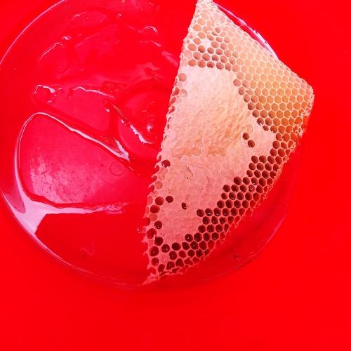 Photo #5527137