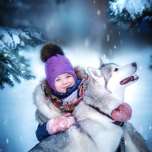 Photo #5527855