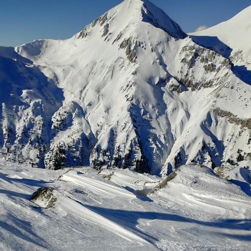Photo #5528016