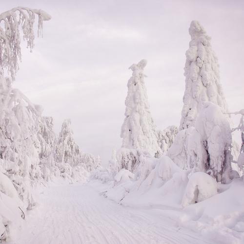 Photo #5528133