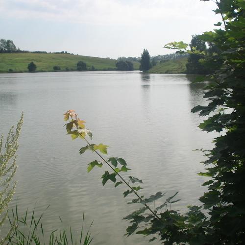 Photo #5528617