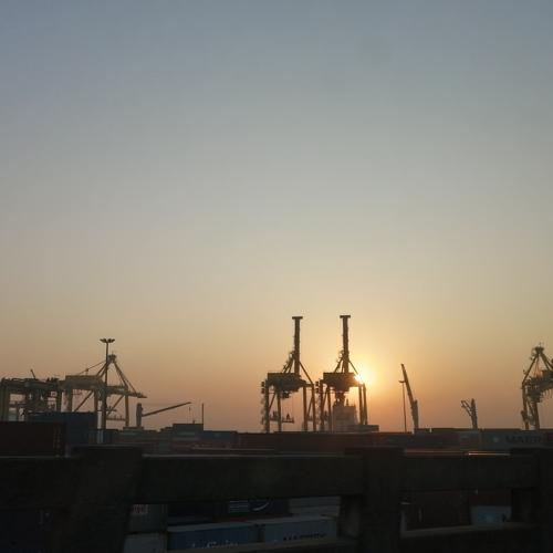 Photo #5528985