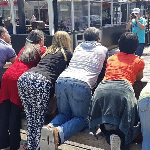 Photo #5529020
