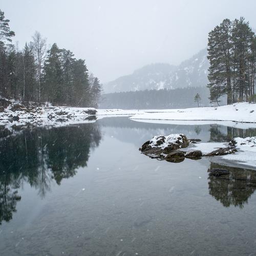 Photo #5529909