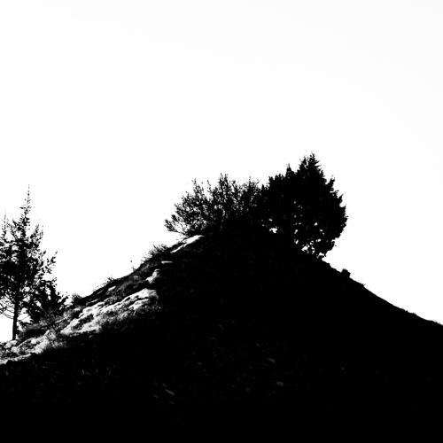 Photo #5530089