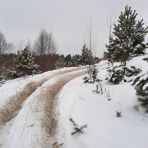 Photo #5530298