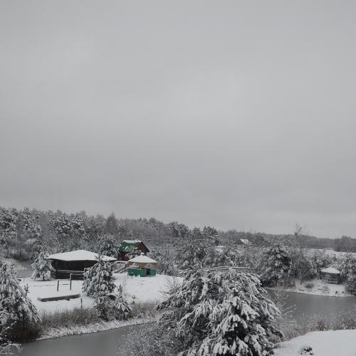 Photo #5530696