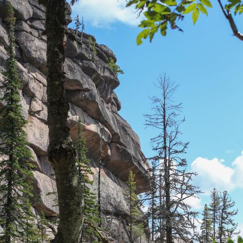 Photo #5531167