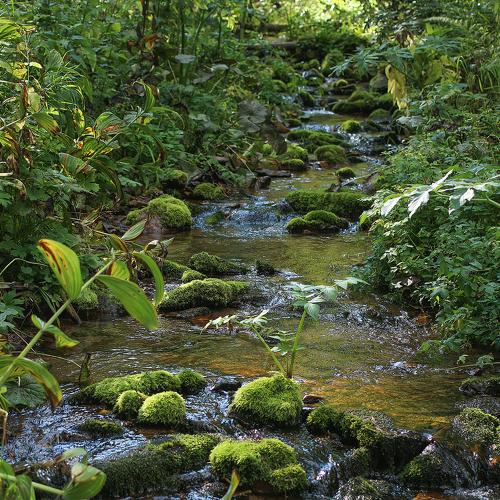 Photo #5531169