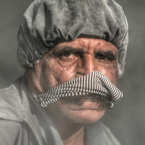 Photo #5531460