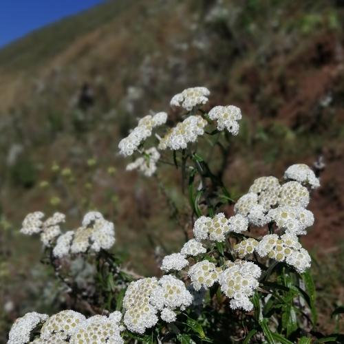 Photo #5531497