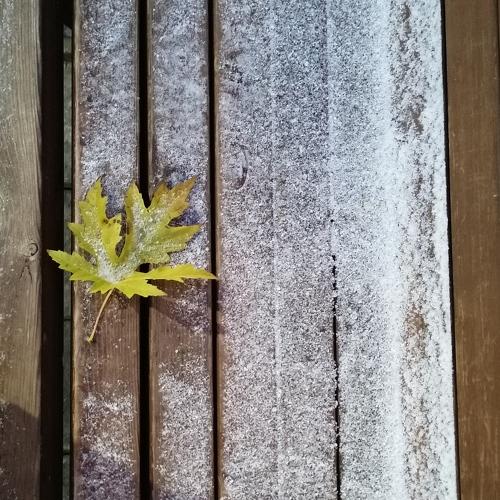 Photo #5531815