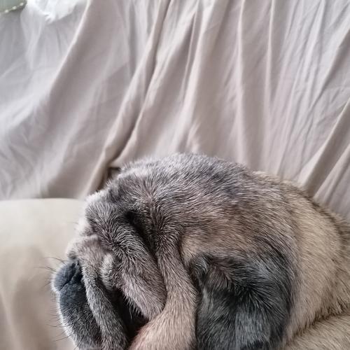 Photo #5531827