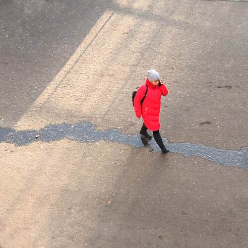 Photo #5532329
