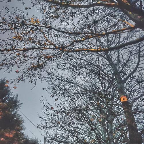 Photo #5532680