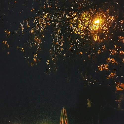 Photo #5532702