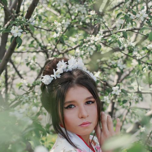 Photo #5533053