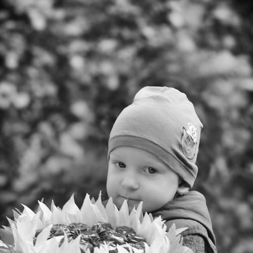 Фотография #5533068