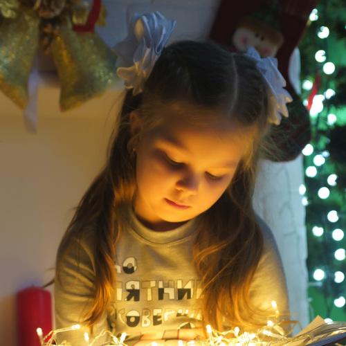 Photo #5533344