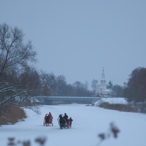 Photo #5533417