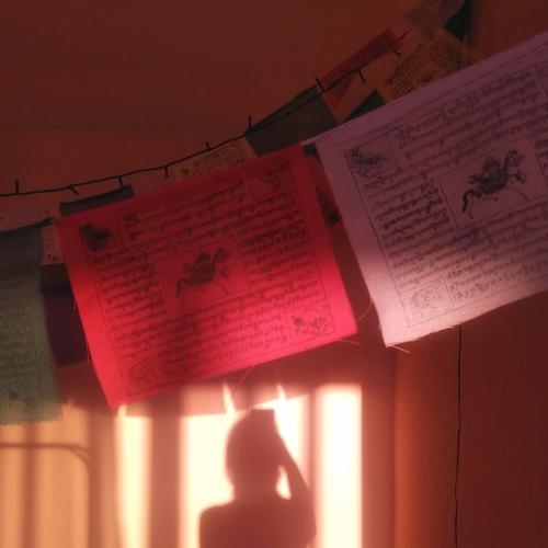 Photo #5533589
