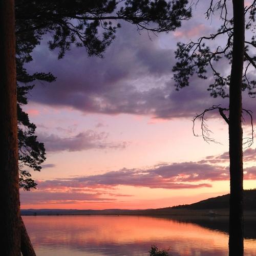Photo #5533682
