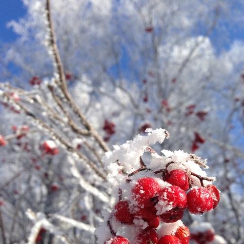 Photo #5533692