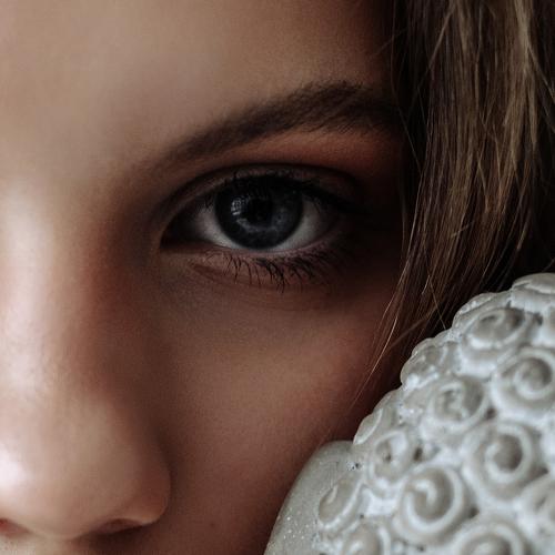 Photo #5533867