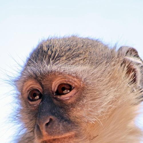 Photo #5534071
