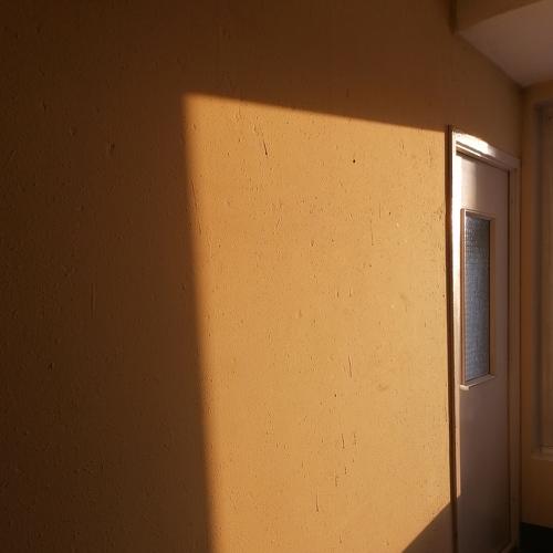 Photo #5534196