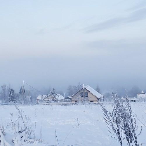 Photo #5534203