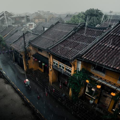 Photo #5534355