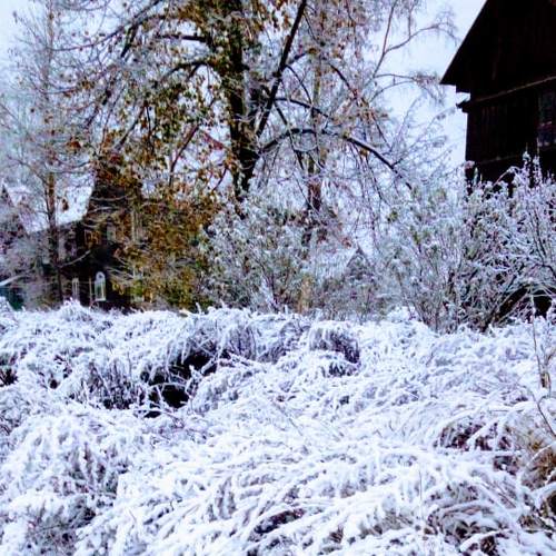 Photo #5534453
