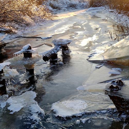 Photo #5534596