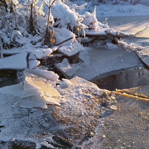 Photo #5534637