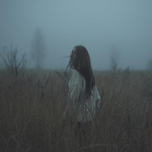 Photo #5534849