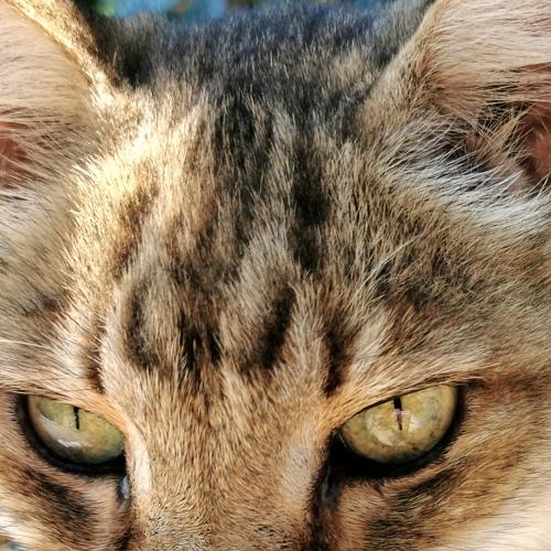 Photo #5534928